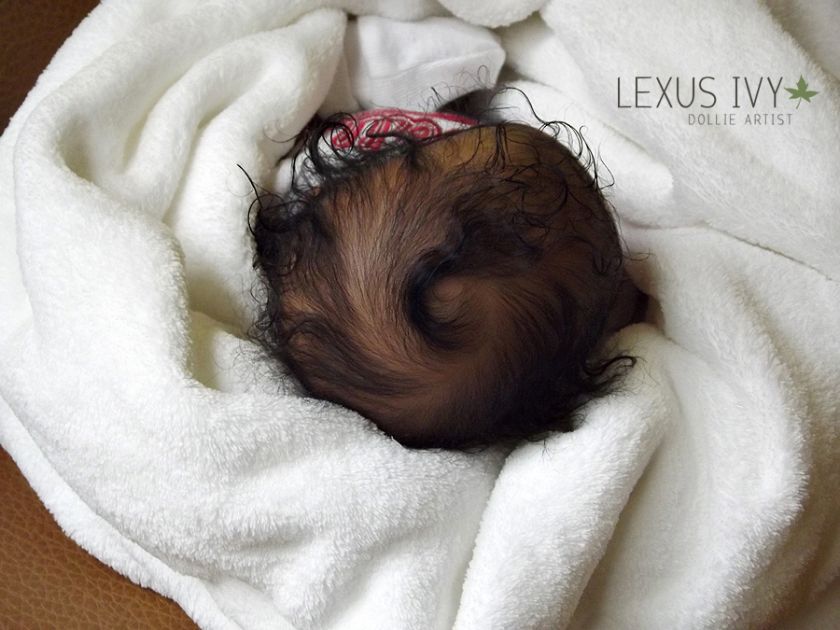 ORDER A Reborn AA Ethnic Biracial Baby by New Artist Lexus Ivy  