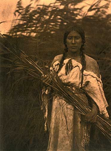 Edward Curtis Rush Gatherer BIG Native American Art  